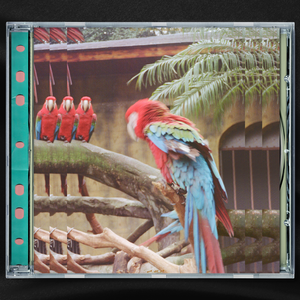 cc欣彤至尊版舞蹈
