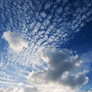 cc欣彤至尊版舞蹈
